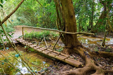 Bridge over a small stream