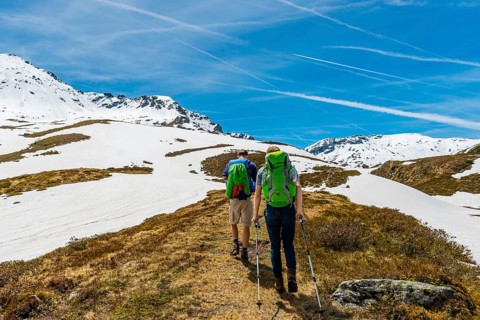 Two hikers hiking on trail