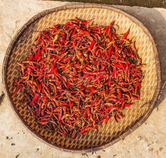 Chillies drying in basket