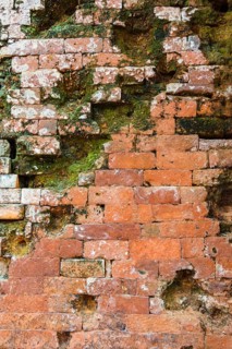 Old brick wall with moss