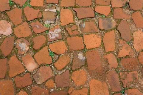 Old brick path