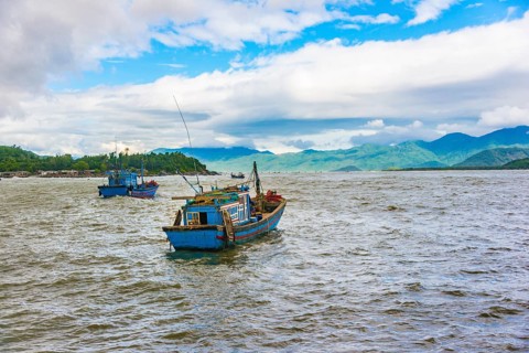 Blue fishing boats