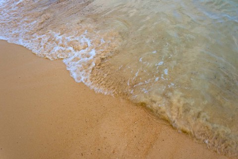 Sandy beach with wave detail