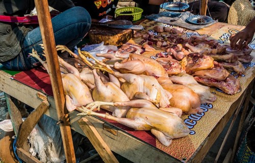 Market stand with poultry