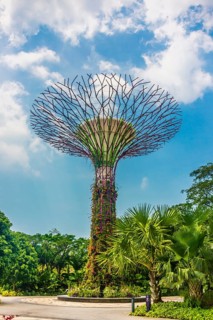 Supertree Grove in the Gardens by the Bay futuristic municipal park