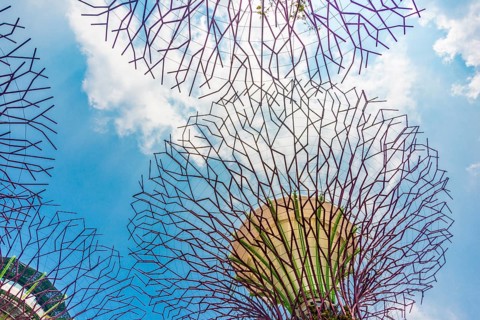 Supertree Grove in the Gardens by the Bay futuristic municipal park