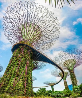Supertree Grove with skyway in the Gardens by the Bay futuristic municipal park