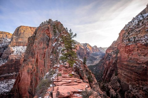 Hiking trail to Angels Landing