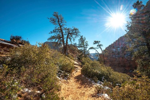 Hiking trail Angels Landing Trail