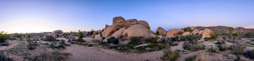 Desert landscape at sunset