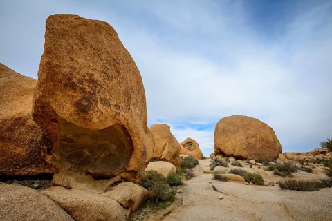 Sculpted Rocks