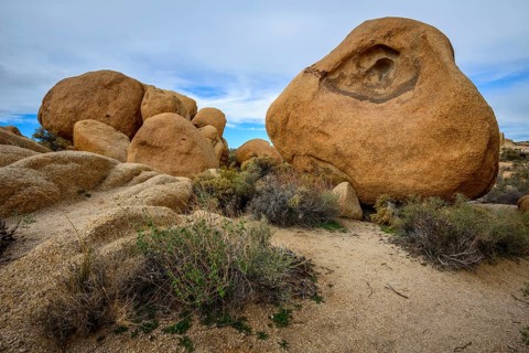 Sculpted Rocks