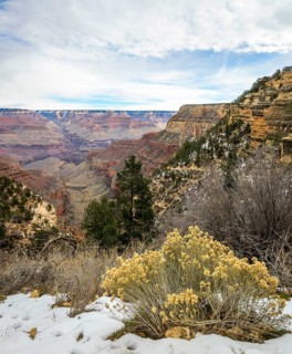 Gorge of the Grand Canyon