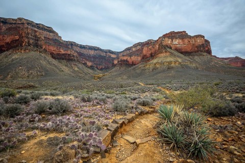 View from Plateau Point Trail in the canyon of the Grand Canyon to the South Rim