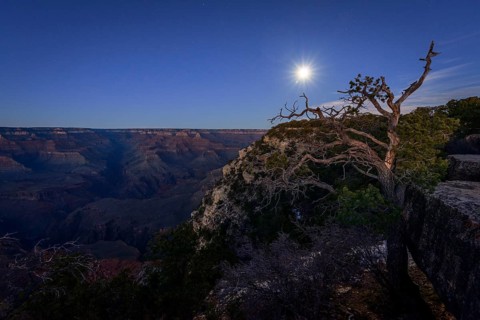 Gorge of the Grand Canyon at moonlight