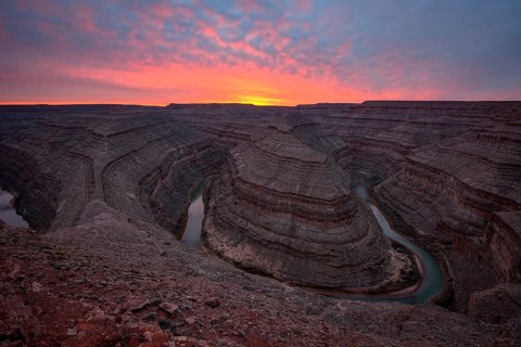 Goosenecks at sunset