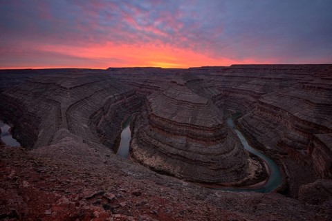 Goosenecks at sunset