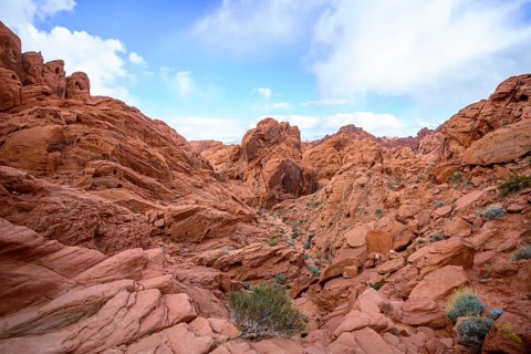 Rainbow Vista Trail