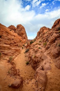 Rainbow Vista Trail