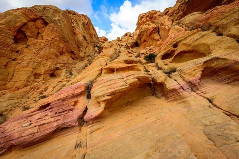 Rainbow Vista