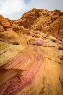 Rainbow Vista