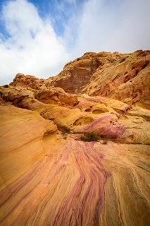 Rainbow Vista