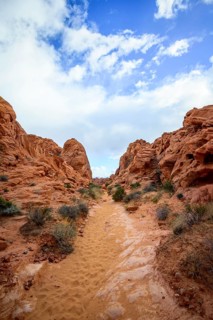 Rainbow Vista Trail