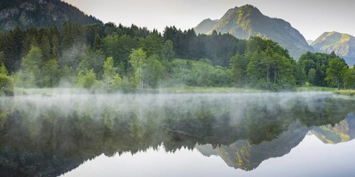 Moor pond with early fog