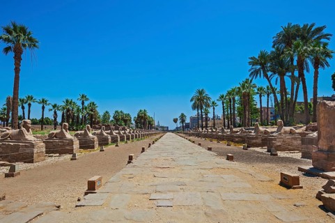 Sphinx Alley