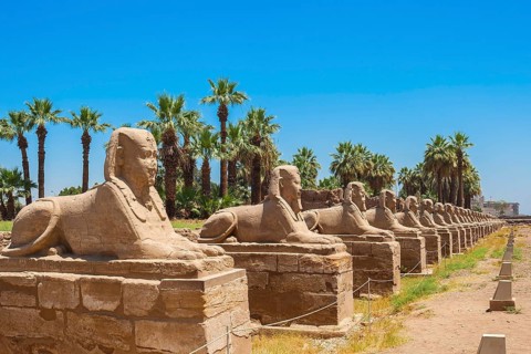 Sphinx Alley