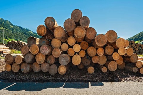 Stacked logs