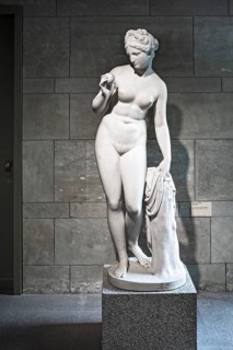 Venus with the apple