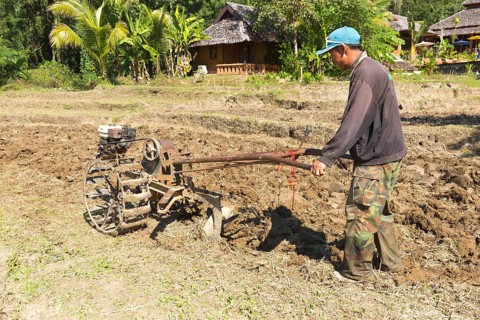Rice farmer with motor plough on a rice field