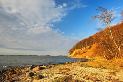 Coastline