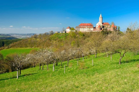 Flowering fruit trees below Leuchtenburg Castle