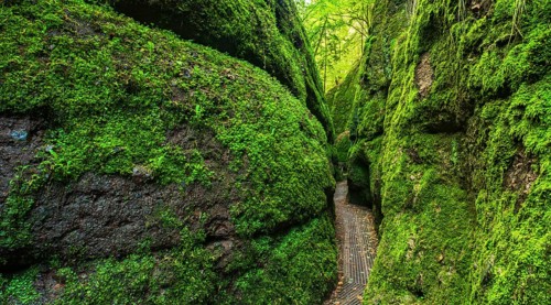 Dragon gorge