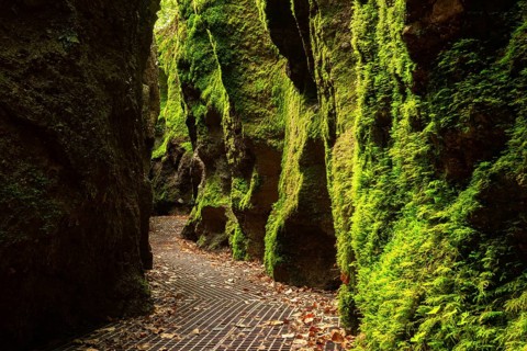 Dragon gorge