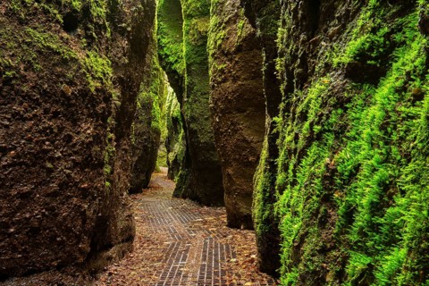 Dragon gorge
