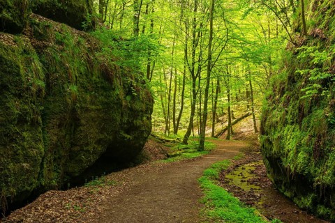 Hiking trail through the Landgrafen Gorge
