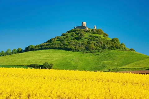 Desenberg Castle