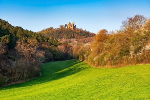 Ruin of Hanstein Castle in spring
