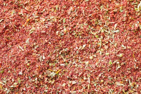 Ground sumac (Rhus coriaria)