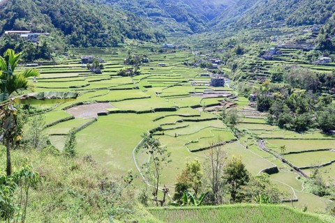 Hapao rice terraces