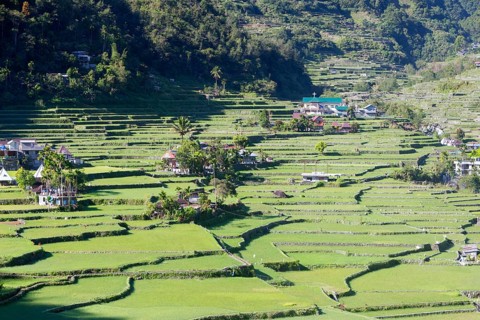 Hapao rice terraces