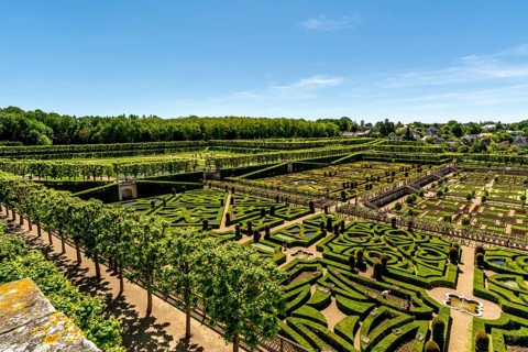 Gardens of Chateau de Villandry