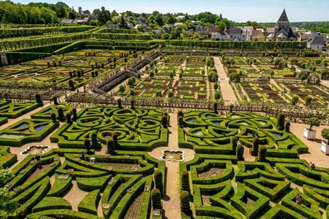 Gardens of Chateau de Villandry