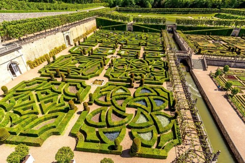 Gardens of Chateau de Villandry