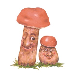 Leccinum (Leccinum)