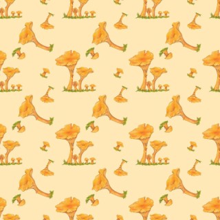Wallpaper