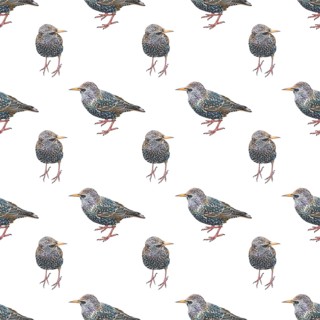 Wallpaper